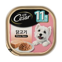 시니어견 닭고기 시저 캔 특별식 습식 4개 습식사료