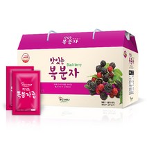 해담은베리 2023년 맛있는 복분자90, 40팩, 80ml