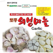 2023년도 마늘 통마늘 한지형 의성마늘 햇마늘 +10톨 덤, 1개, 의성씨마늘 특대 3kg 60-80개