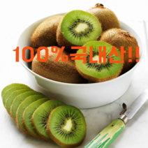 국내산 남해안 해풍맞은 그린키위 참다래 5kg 70-80과내외, 1개