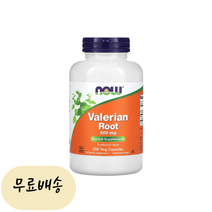 (NOW) 나우푸드 발레리안 루트 500mg 식물성 캡슐 250정 Valerian Root 결초근, 1개, 250개