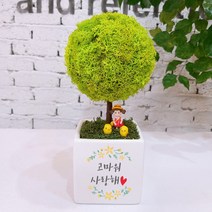 스칸디아모스 천연이끼나무 공기정화 주문제작, 03.빅큐브 꽃 트리-스프링그린(주문제작문구)