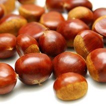 22년 공주 정안 햇밤 2kg~8kg 알밤 생밤 생율, 대-6kg, 1개