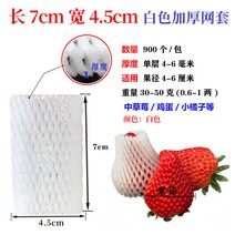 과일 완충재 포장지 배 사과 포장재 패드 망 1000개, 그린, 계란 비파 딸기 7x5=900개