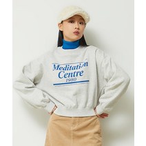 SPAO 스파오 레터 크롭 스웨트셔츠 기모 SPMWD11G03