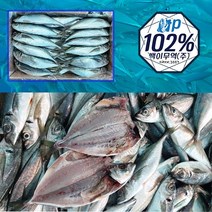 (새벽경매)국내자연산 일품 전갱이 10kg, 소(55-70), 1개