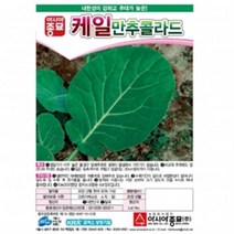 (케일종자씨앗) 만추콜라드(100g)
