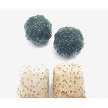 모스볼활착두둥실마리모 체리생이새우어항꾸미기 초보음성수초키우기, 실길이 15cm