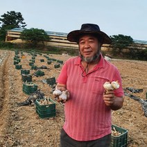 2023 홍산마늘 햇마늘 식용 종자용 장아찌용, 홍산마늘 3kg, 1개
