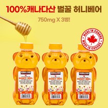 코스트코 커클랜드 3팩 허니베어 생리퀴드 허니꿀 750g, 3개