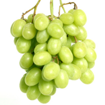 샤인머스켓 청포도 거봉 1kg, 1박스, 11_국산 청포도 1kg