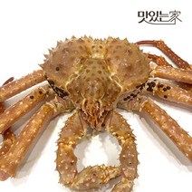 맛있는 생물 브라운 킹크랩 1.5kg