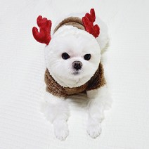 도기코디 크리스마스 루돌프 산타 후드티, 브라운