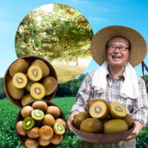 먹사부 제스프리 골드키위 골든 수입산 국내산 그린키위 대과 점보 왕 특점보 제철과일, 선택3. 골드키위(점보)(수입산), 3kg내외, 1개