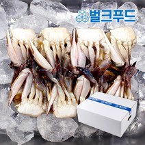 냉동 절단꽃게 5.4kg 벌크 손질꽃게 업소용 해물찜 탕용, 옵션1. 소(S) 5.4kg, 1개