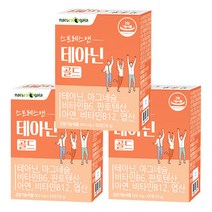 타이거아울렛 스트레스 긴장완화 테아닌 60정 x 3박스 약 3개월분 L-테아닌 알파파 릴렉스 케어 직장인 수험생 청소년 엘테아닌, 단품, 단품