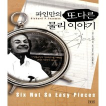파인만의 또다른 물리이야기