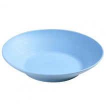 디저트 예쁜 카페접시 9 인치 라운드 샐러드 디너 플레이트 쌓을 수 없는 깨지지 않는 BPA 무료 모듬 접시 식당용 전자 레인지 안전 과일, 파란