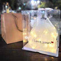 [완성품] 웨딩드레스 선물상자 결혼 축하 기념일 선물 LED+쇼핑백+I Love you, 레이스 드레스[완제품], 투명[사각]케이스, I Love you