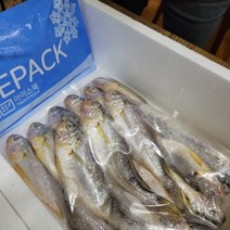 성복농수산 참조기 1kg 세트 저염한 생조기 18~20미 15~16미 국내산 생선 굴비
