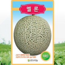 멜론 씨앗 메론 씨 종자 10립