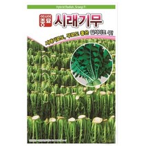아시아종묘 무씨앗종자 동치미무-천명무 (2000립)