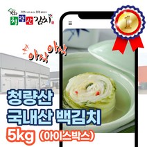 l 품담식품관 l 봉화 청량산 백김치 국내산 가정용 당일발송 아이스박스선택, 5kg, 1박스, 아이스박스 x 백김치