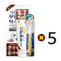 부광약품 부광탁스 프리미엄 치약 150g+부광탁스 칫솔 1개, 5개