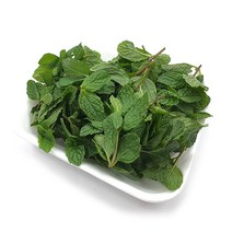 야채왕 민트 1팩 허브 생잎, 민트10g
