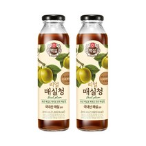 백설/리얼매실청 310ML 2병