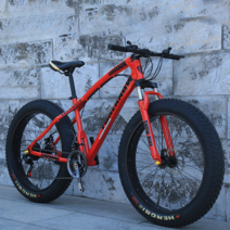 MTB 광폭타이어 바퀴큰자전거 성인용 학생용 여성용 팻바이크 산악용 자전거, 30단, 20인치, C