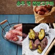 충주 햇 꿀밤고구마 베니하루카 5kg 10kg 호박 고구마 고구마 말랭이 꿀고구마 밤고구마, 햇꿀밤고구마 10kg