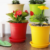 카페 식당 받침접시 컬러풀 미니 원형화분 시골집 관공서 유치원 채소, 레드