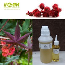 허브인] 피마자오일 정제 피마자유 100% 1L 구입시 공용기증정, 피마자유1000ml(1L)+공용기, 오일