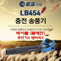 ES 충전송풍기 LB454 54V 베어툴 충전기X배터리X 브러시리스 낙엽청소 눈청소 물기제거 캠핑 세차, 1개