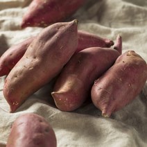 오늘팜 햇 밤고구마 세척 호박고구마 베니하루카 산지직송 3kg 5kg 군고구마, 특상, 1개
