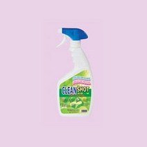 MDO1852 락카 수성페인트 다용도 제거제 550ml 락카제거/매직제거/페인트제거/그을림제거, 1개