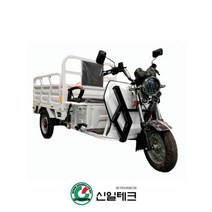편안한 전동차 SR-9 세발오토바이 삼륜전기차 3발, 03. 빨간색 - 캐노피 미포함