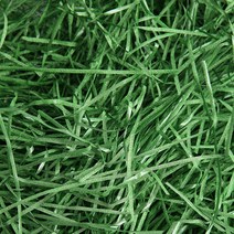 쵸핑 스터핑 스타핑 주름쵸핑 포장부자재 500g 1kg, 펄일자쵸핑500g-그린