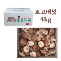 생 표고버섯 농장 산지직송 중품 4kg