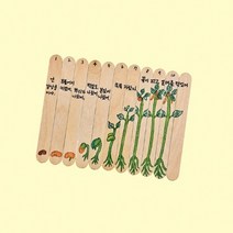 식물 한살이 작품막대(10개입) K22450