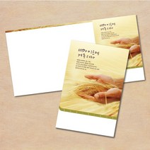 주보 순서지 3단 6면 주보용지 예배 주보용지 교회 절기 안내지 전도지 칼라 인쇄용지 주일학교 청년부 장년부 부활절 맥추 추수감사 성탄절, EW-53