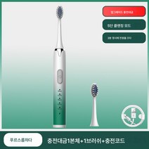 전동칫솔 가정용 진동연모충전기 충전대 자동초음파식 성인칫솔 발렌타인 선물, 신선한녹색업그레이드된모델+충전케이블, 3 브러시 헤드