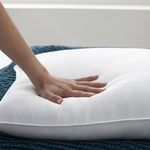 통세탁 항균베개솜 마이크로화이바 기능성베개솜 (40X60/50X70) 4종택1, 01.도브 항균베개솜