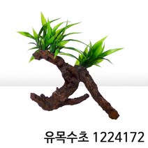 유목수초 1224172 (14x9x15cm)