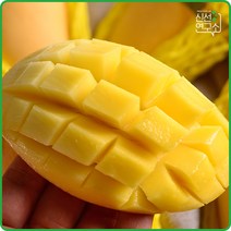 [신선연구소] 태국 골드 망고 특대과 10-12과 5kg내외, 단품