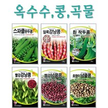 주주씨앗 콩 곡물 옥수수씨앗 16종 / 강낭콩 / 퀴노아 / 백태콩 / 서리태 / 찰옥수수 / 땅콩 / 작두콩 / 완두콩 / 씨앗 / 텃밭, 12. 퀴노아 2g
