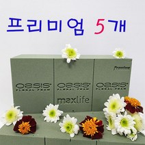 (샤인) 오아시스 프리미엄 낱개 5장 무료배송/플로랄폼 꽃꽂이수반/최상의 품질