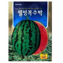 복수박 씨앗 종자 30립 미래종묘