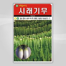 슬로시 슬로시 김장 채소 씨앗 무 배추 당근 씨 종자, 시래기무20g(아람)